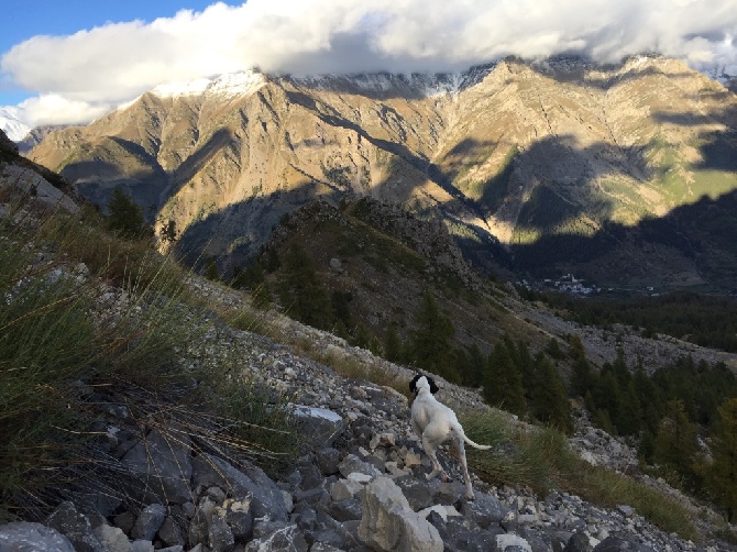 Des Sommets Alpins - ITA Arrêt BARTAVELLES