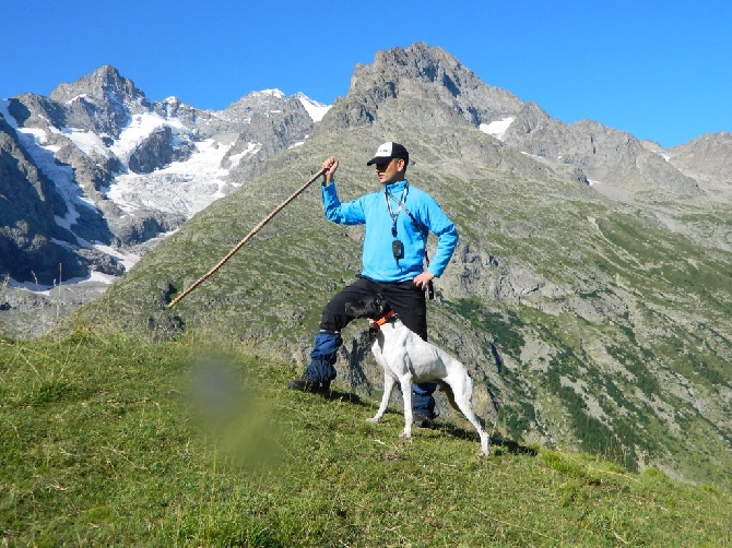 Des Sommets Alpins - Bons souvenirs 