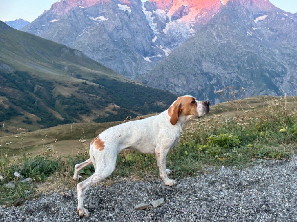 Des Sommets Alpins - SKY 1er EXC Concours Montagne 