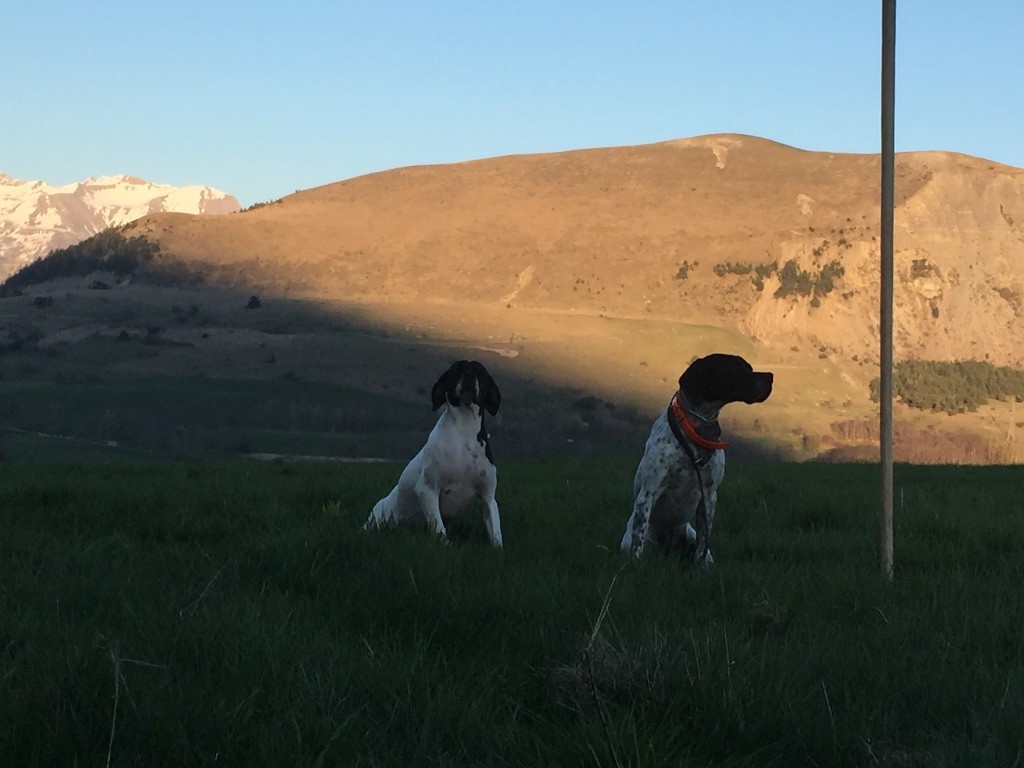 Des Sommets Alpins - Fin des entraînements de printemps 