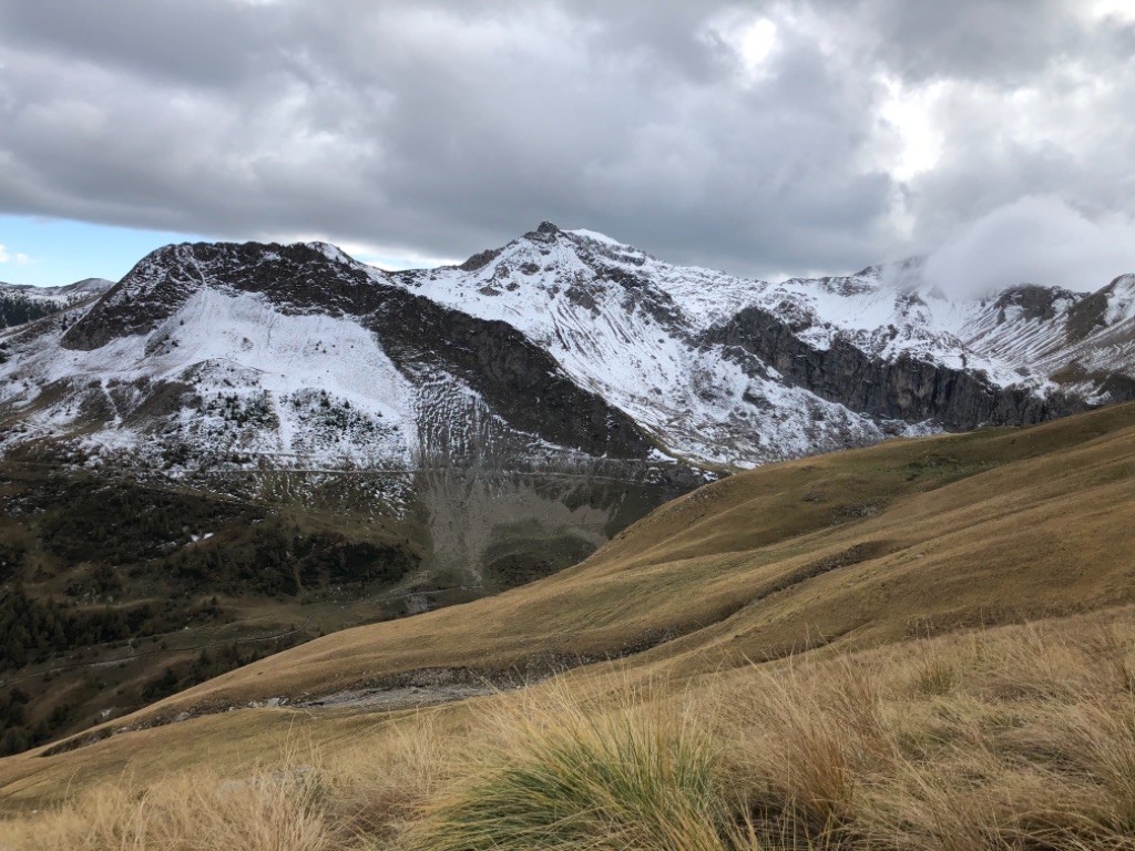 Des Sommets Alpins - SAISON DE CHASSE EN MONTAGNE 2020