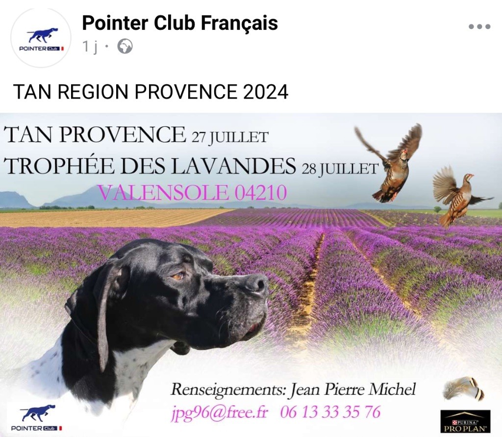 Des Sommets Alpins - Le Rdv du Sud , les 27 et 28 juillet à Valensole