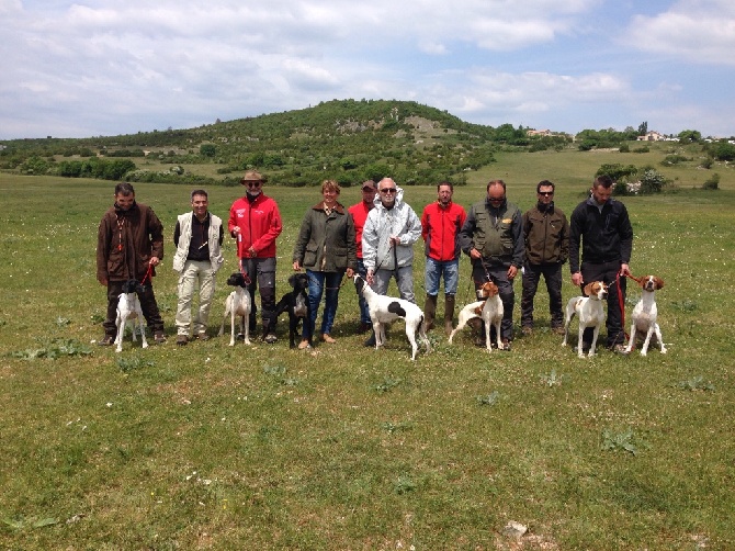 Des Sommets Alpins - Tan Languedoc Roussillon 