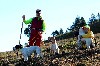  - SOUVENIRS DES PYRÉNÉES 