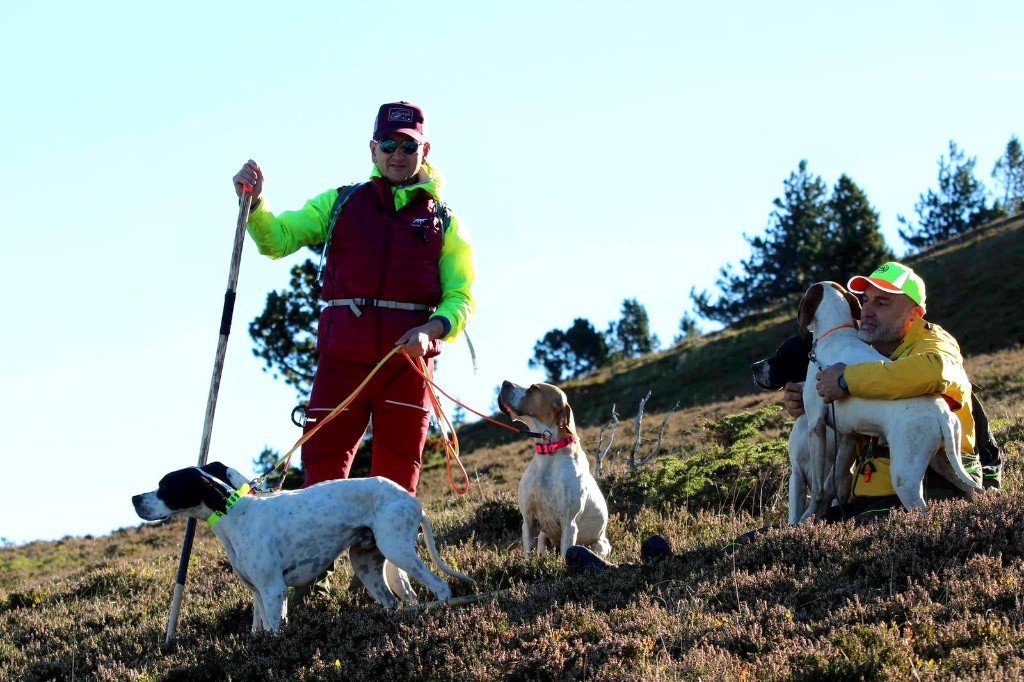 Des Sommets Alpins - SOUVENIRS DES PYRÉNÉES 