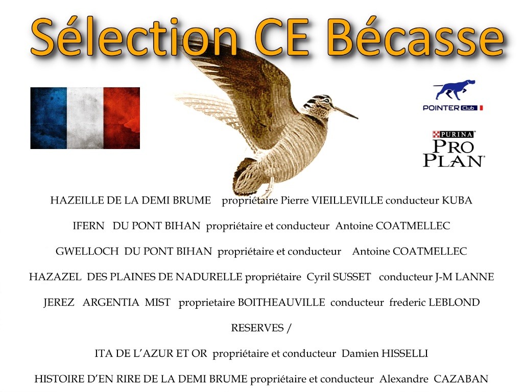 Des Sommets Alpins - ITA SÉLECTIONNÉE AU C.E BECASSE EN ITALIE 