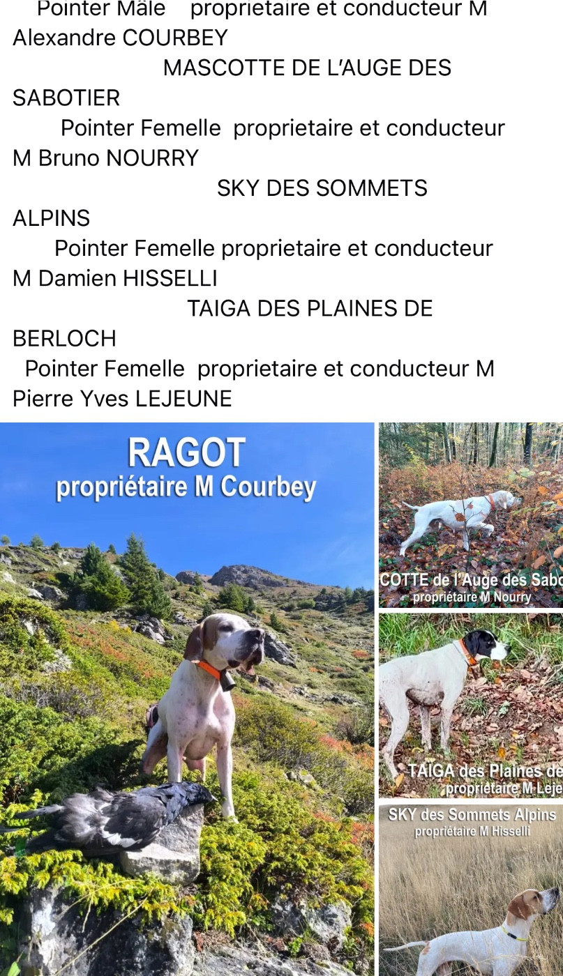 Nouvelles aventures en vue