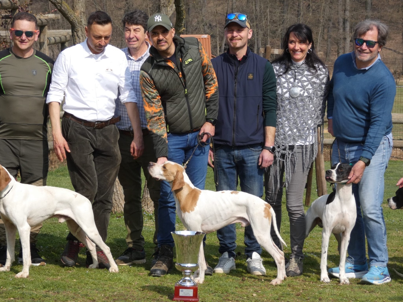 Des Sommets Alpins - DOMINATION 100% POINTER