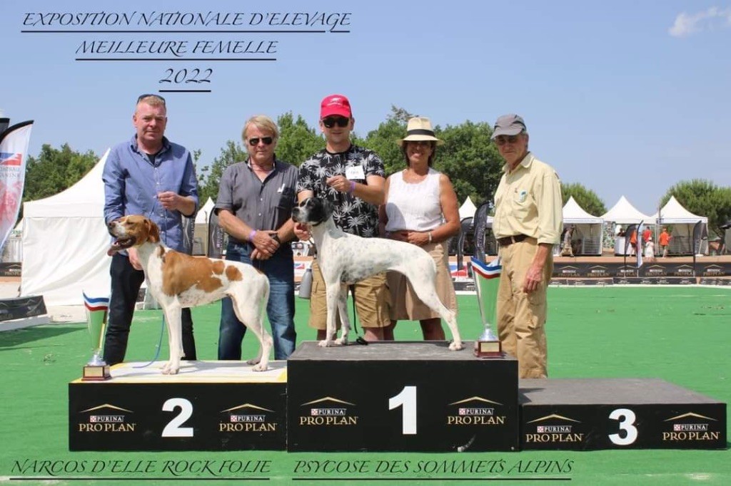 Des Sommets Alpins - GAME FAIR 2022