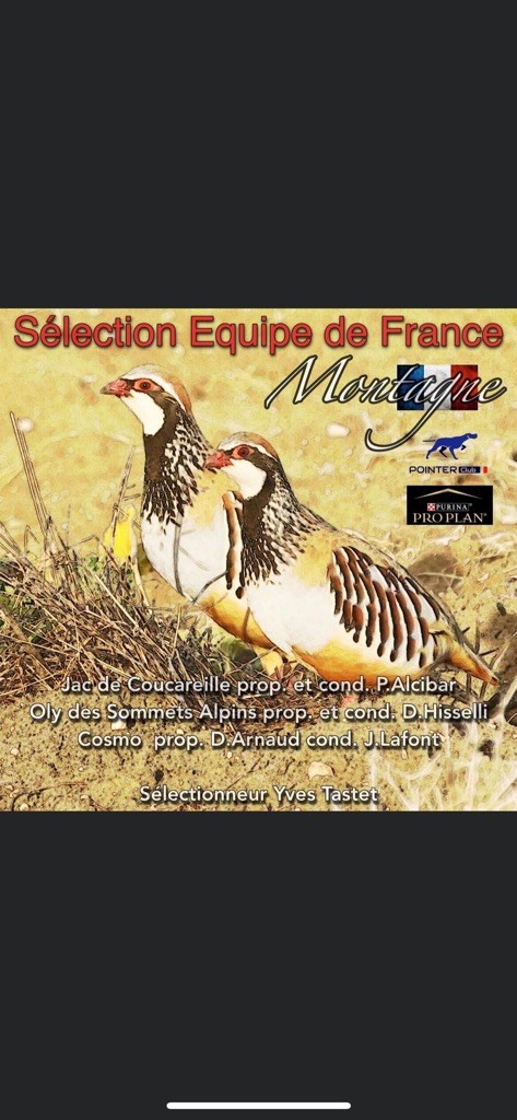 Des Sommets Alpins - Sélection au championnat d Europe en Grèce